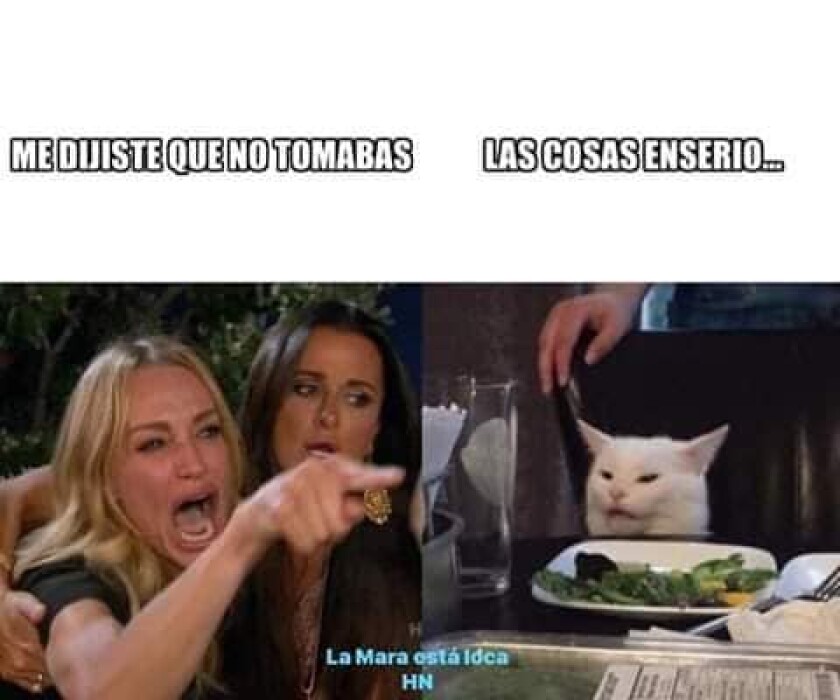 Gatos Gatitos Divertidos Memes Amazon Es Appstore Para Android