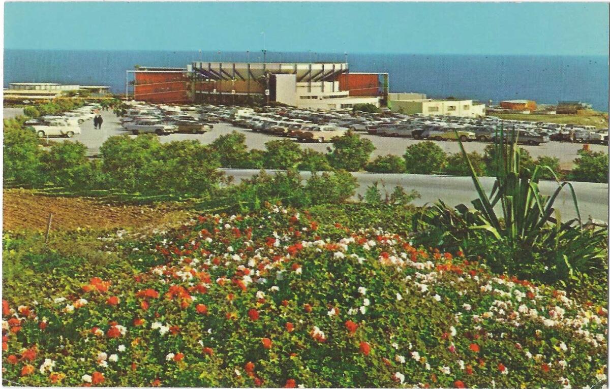 Exterior of Marineland and parking lots, framed by flowers, with ocean in the background.