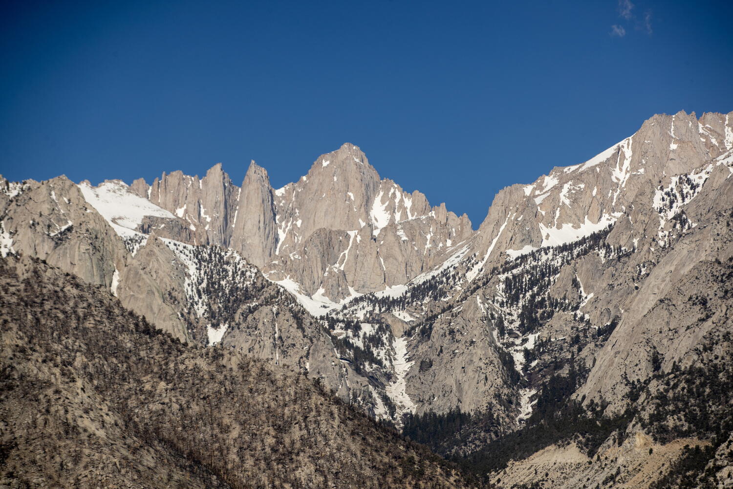 Fresno contractor who appeared on HGTV dies while hiking in Sequoia National Park
