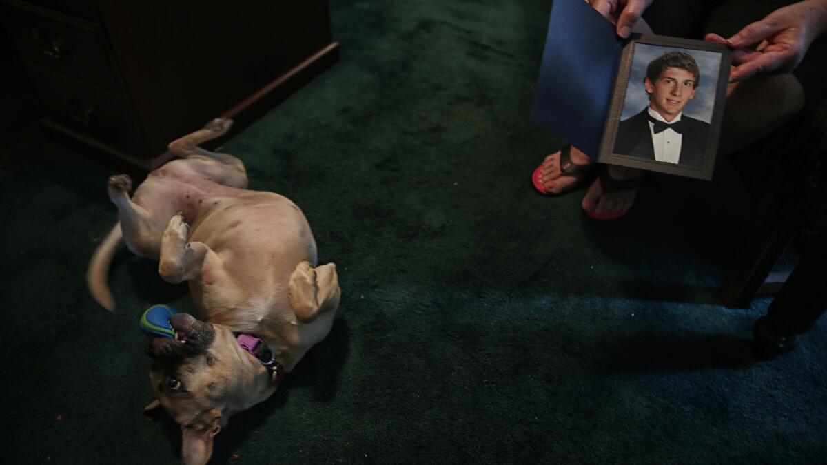 JoDell Pasek holds a photo of her son Andrew, as his dog, Molly, plays nearby.