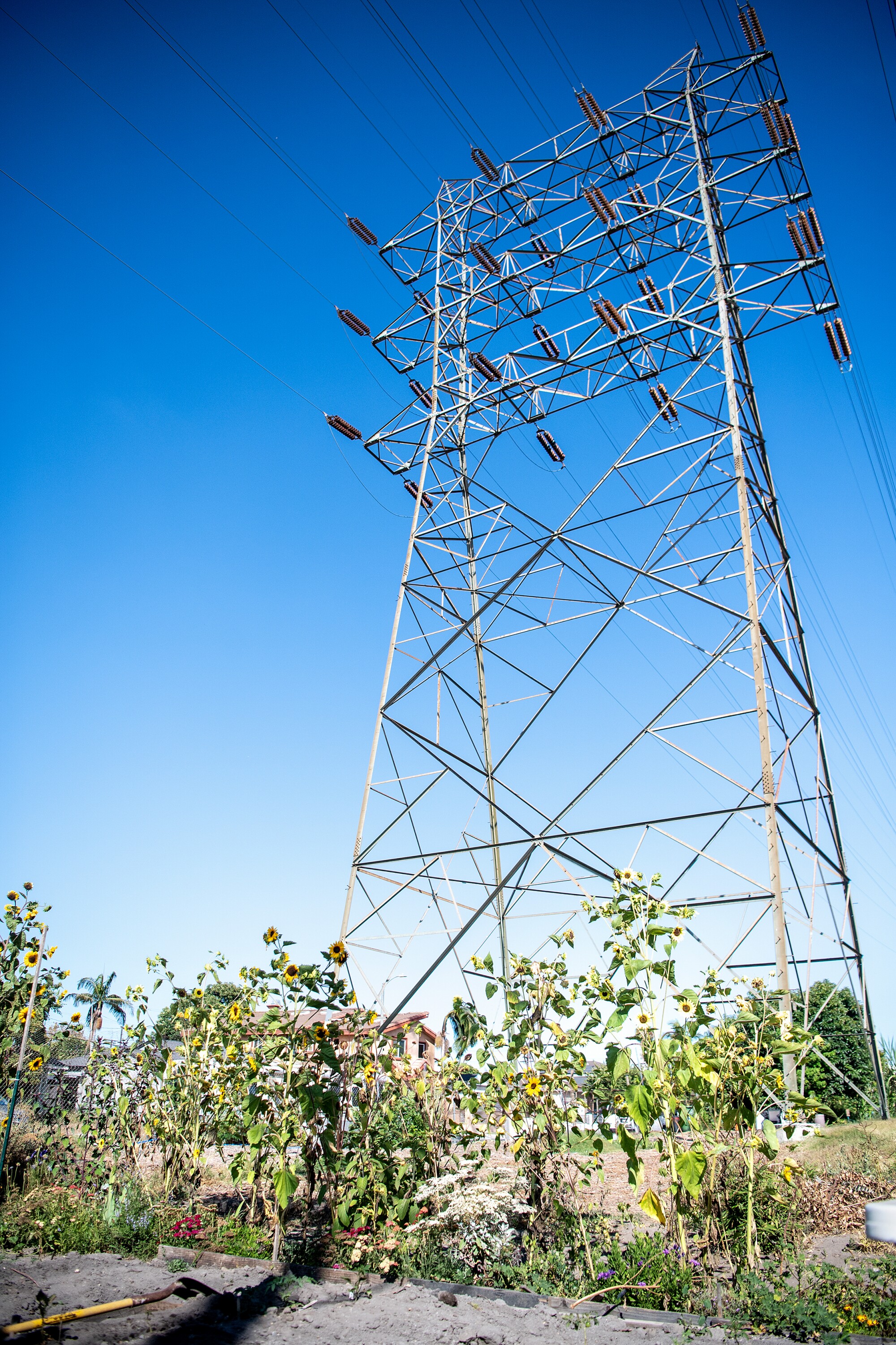 A garden lies at the base of a tall electrical tower.