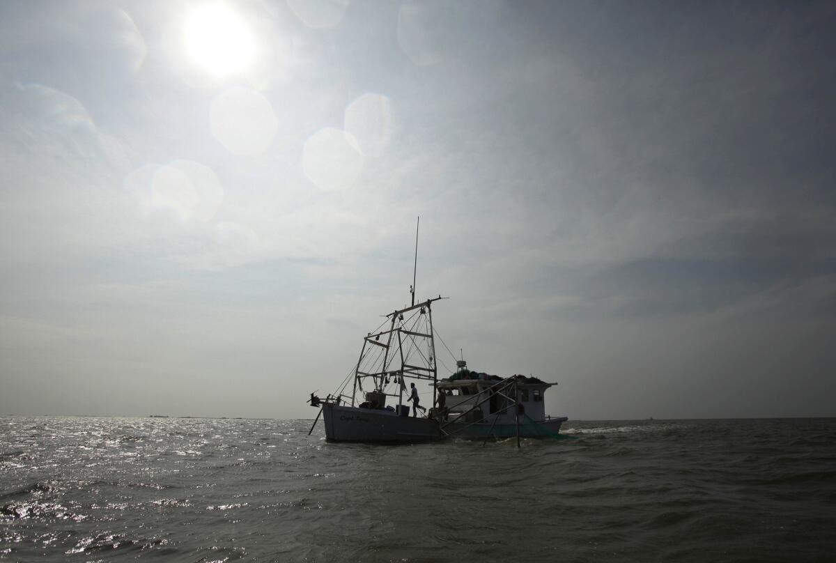 A shrimp trawler drags its nets in Bastian Bay, near Empire, La.