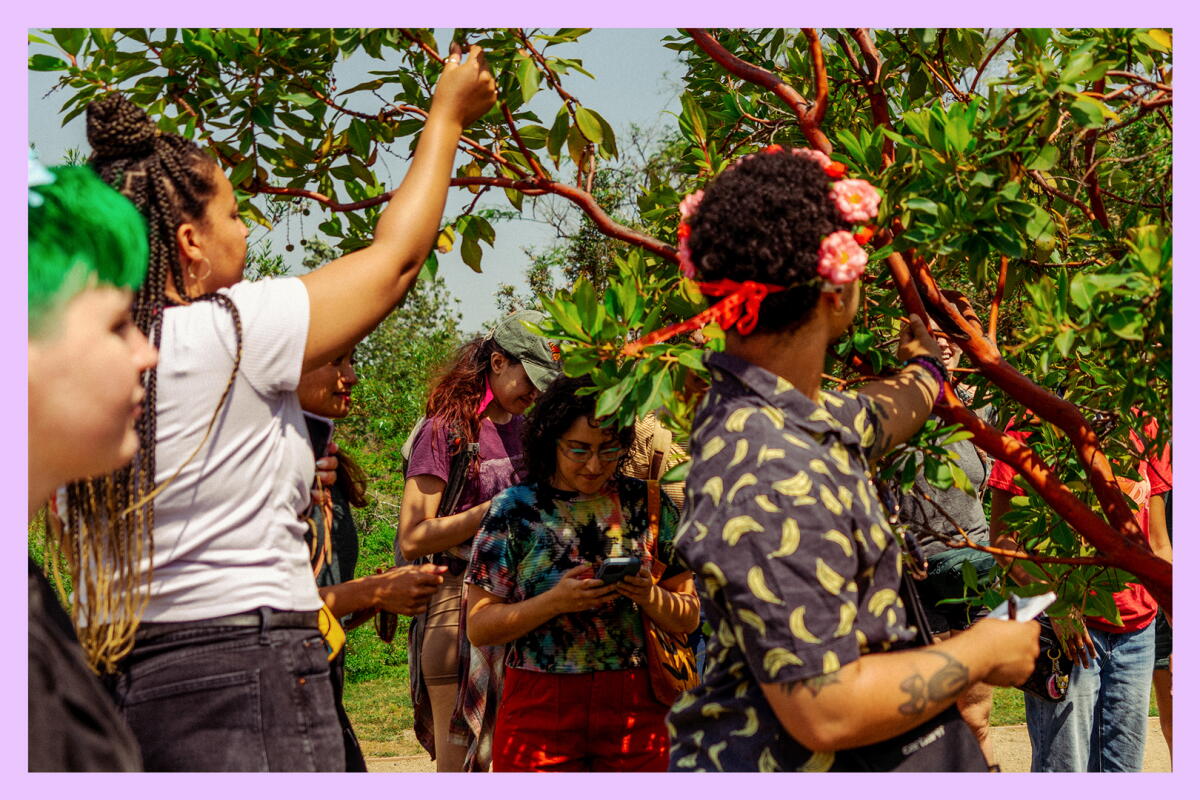Foraging Ocean Native How an L.A. native makes foraging accessible and inclusive - Los ...
