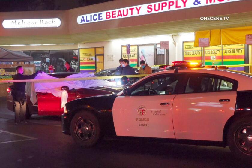 An investigation is underway after two men were shot to death and a woman was wounded at a strip mall in Arlington Heights