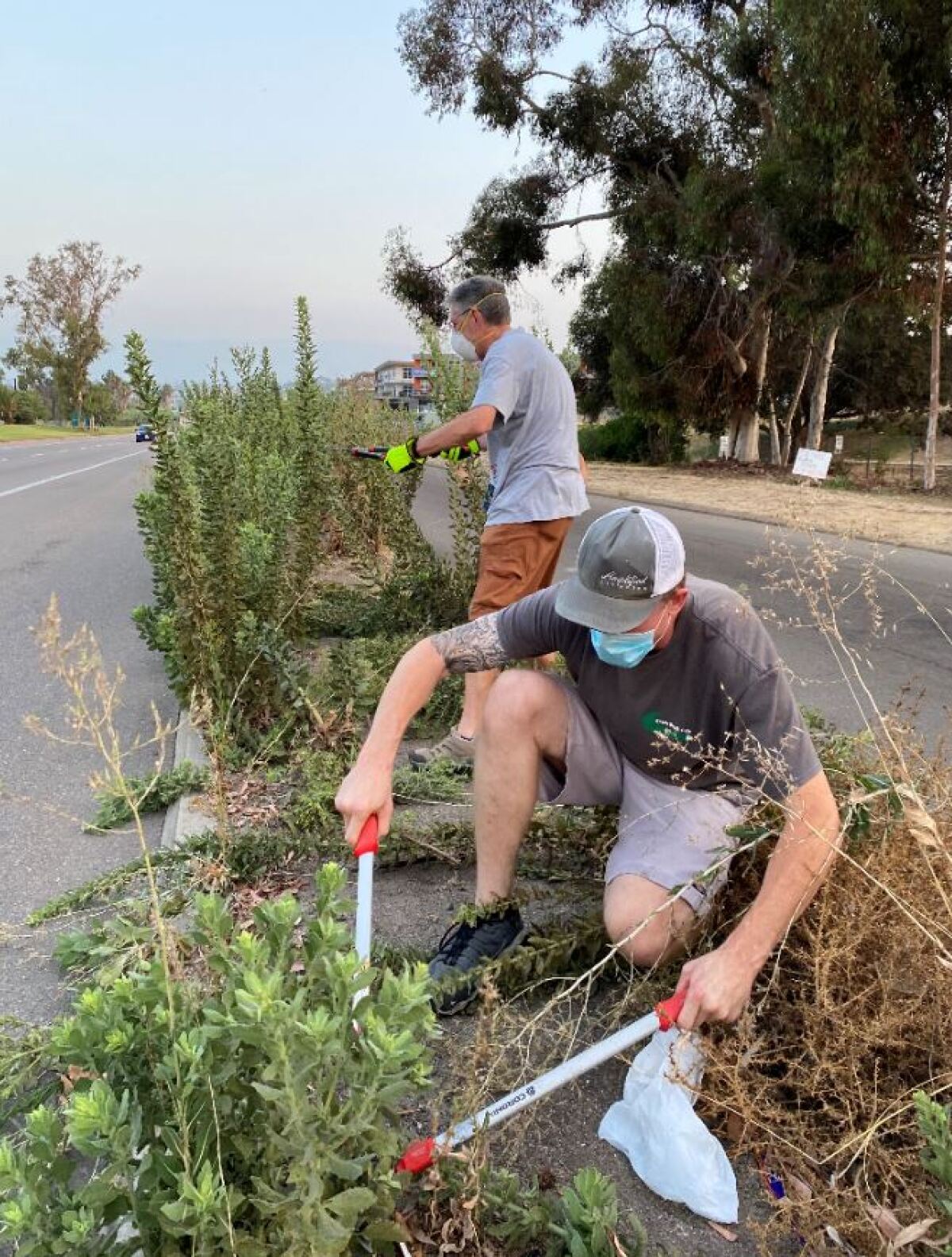 Brian White and Ron Walker of the Pacific Beach Town Council work to spruce up a median along Mission Bay Drive on Aug. 22.
