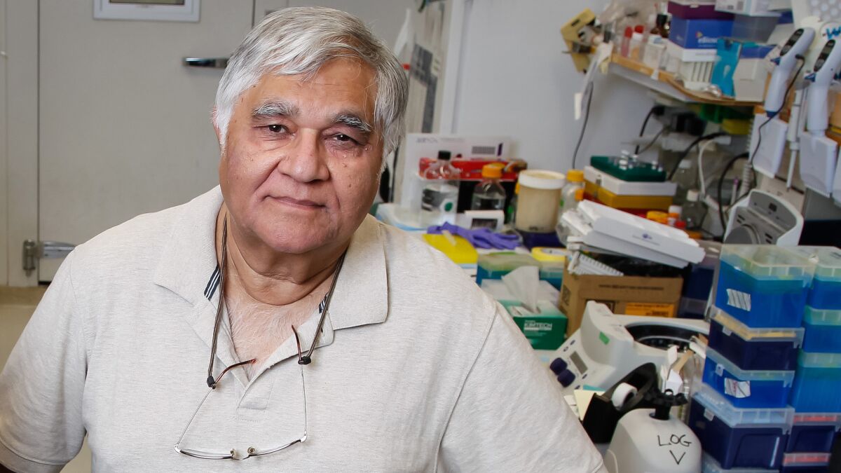Salk Institute cancer biologist Inder Verma