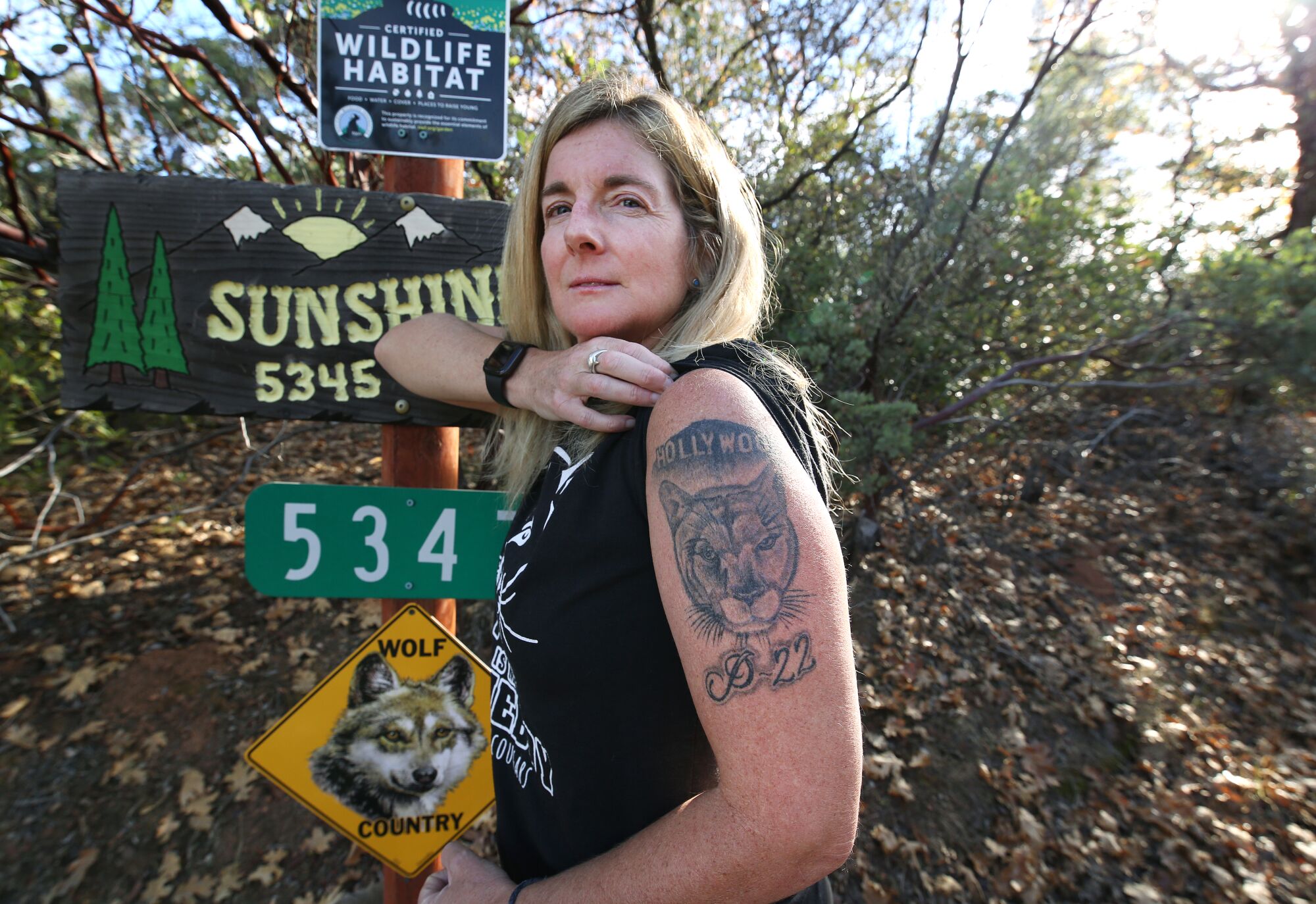 A woman shows off her tattoo of mountain lion P-22 under a tattoo of the Hollywood sign