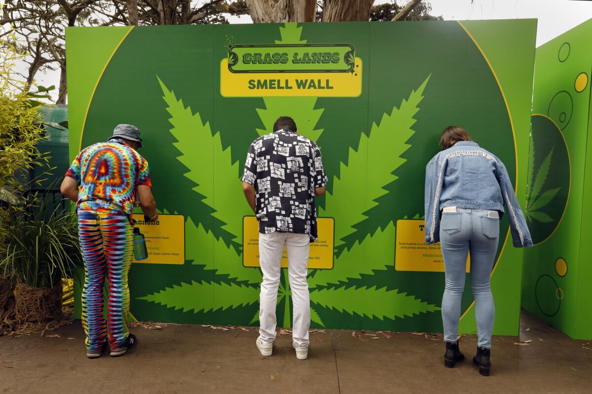 The smell wall allowed visitors to pump puffs of scent from canisters filled with different terpenes, the oils that give cannabis its odor. Thousands came to Grass Lands to buy and sample a variety of pot products for the first time at the Outside Lands festival. (Carolyn Cole/Los Angeles Times)