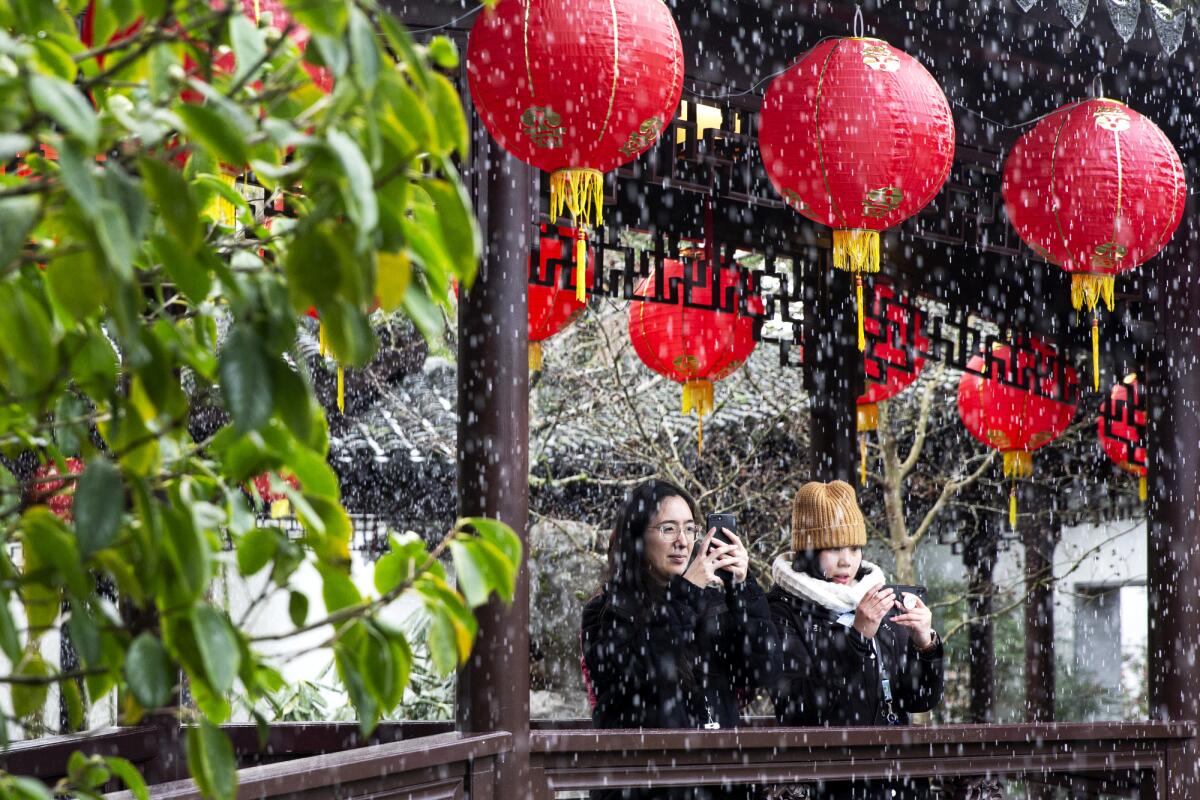 Staff members of the Lan Su Chinese Garden take pictures of a sudden snowfall in Portland, Ore. 