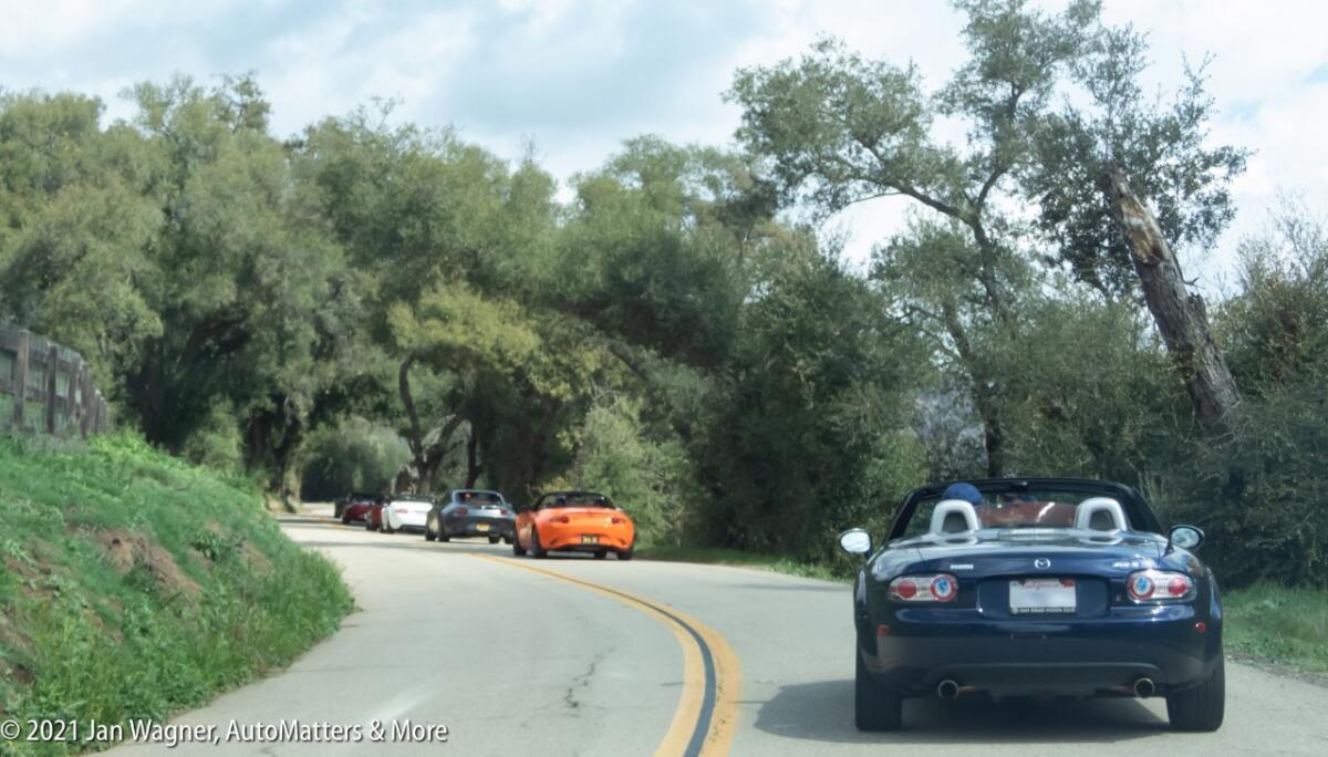 Spirited driving through the twisties
