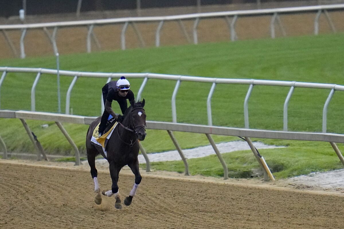 Preakness Stakes participant Blazing Sevens trains on Wednesday.