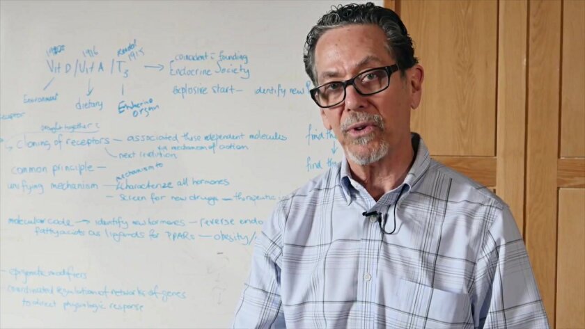 The Salk Institute's Ron Evans explains how immune cell dysfunction can lead to diabetes.