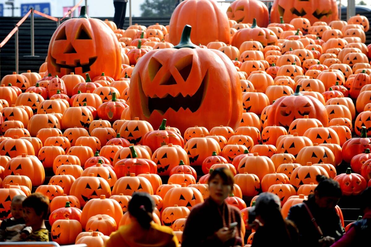 Visitors pass an installation of 500 pumpkin lights to mark Halloween in Shenyang in northeast China's Liaoning province.