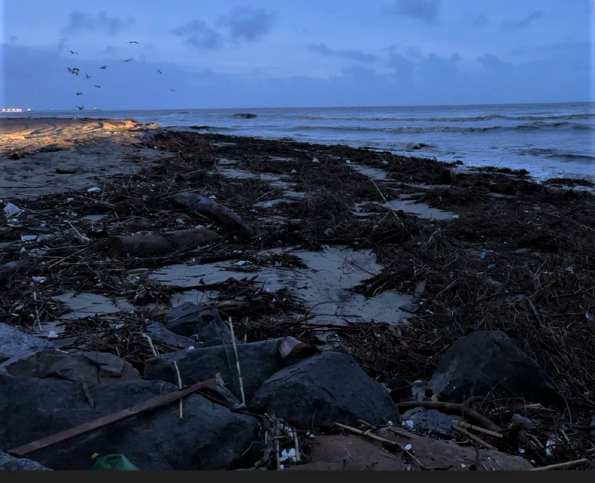 Local groups are organizing volunteer events this weekend to help clean up debris washed onto beaches by recent rain storms.