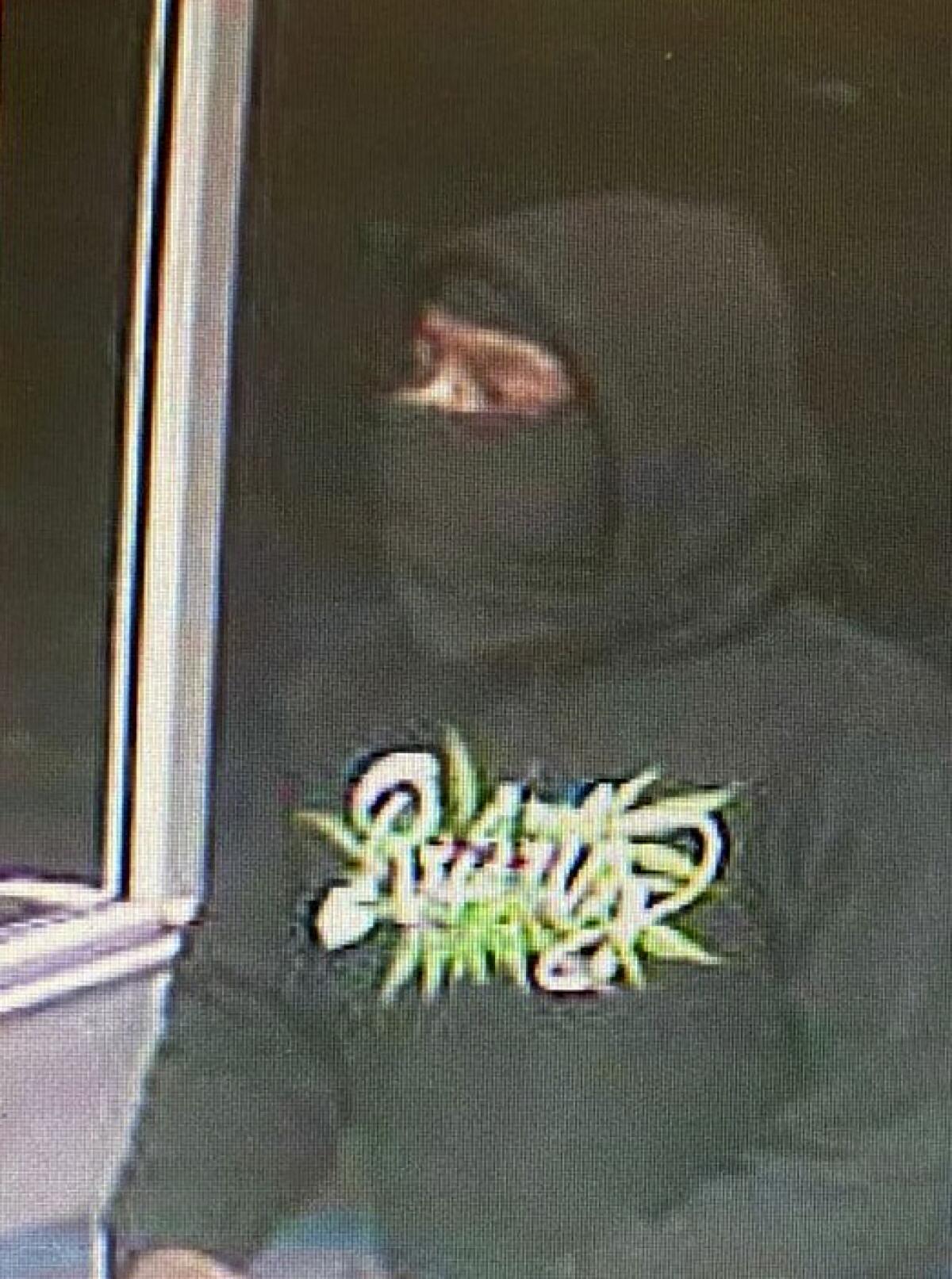 In this photo released by the Ontario Police Department is a person police are seeking in connection with a robbery at a 7-Eleven store in Ontario, Calif., on Monday, July 11, 2022. (Ontario Police Department via AP)
