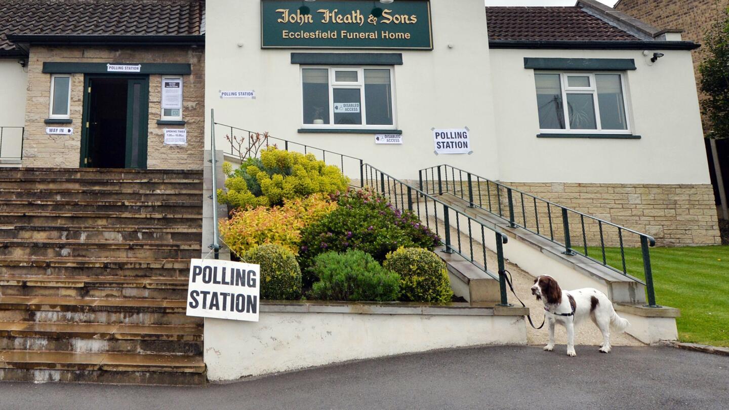 Dogs waiting at polling stations