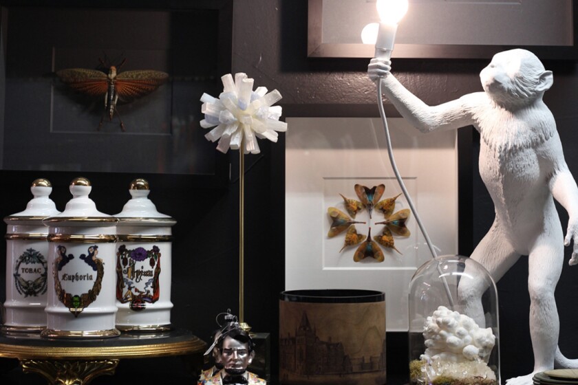 Jars, art and a cat light at a gift shop.