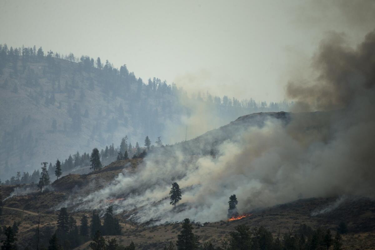 The Carlton Complex fire burns on the side of a mountain on Sunday in Carlton, Wash. Firefighters from all over the country have been sent to the area in order to try to contain it.