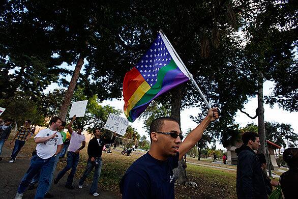 Michael Allen, 19, joins about 75 others at Lincoln Park, east of downtown Los Angeles, at a rally to protest the passage of Proposition 8.