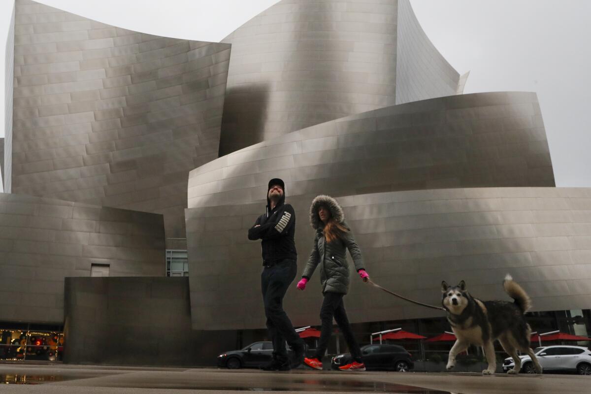 Two people walk a dog in downtown L.A. on a rainy day.