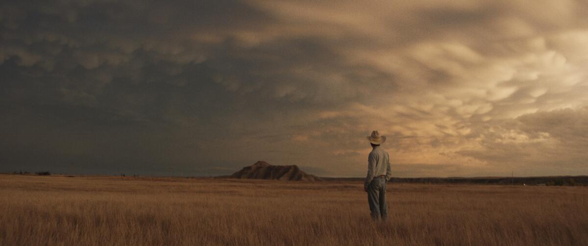 A man in a cowboy hat stands in an expansive field.