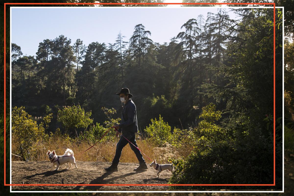 Eric Nordhauser walks his two dogs at Franklin Canyon Reservoir.