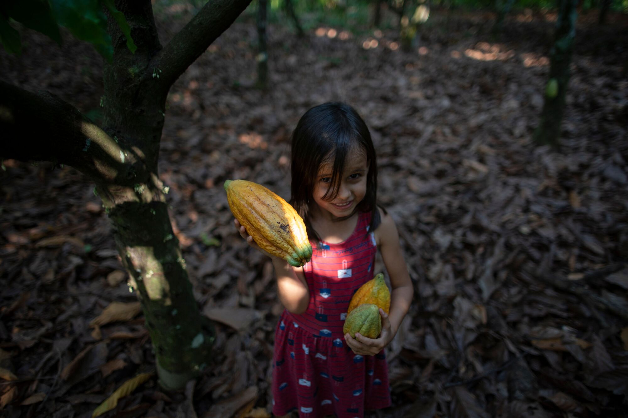 A young girl in a red dress holds three bright yellow elongated fruits