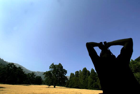 Tejon Ranch