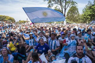 Aficionados de Argentina ondean la bandera del país durante el encuentro entre Argentina y Australia en los octavos de final del Mundial en un parque en Buenos Aires el sábado 3 de diciembre del 2022. (AP Foto/Victor R. Caivano)