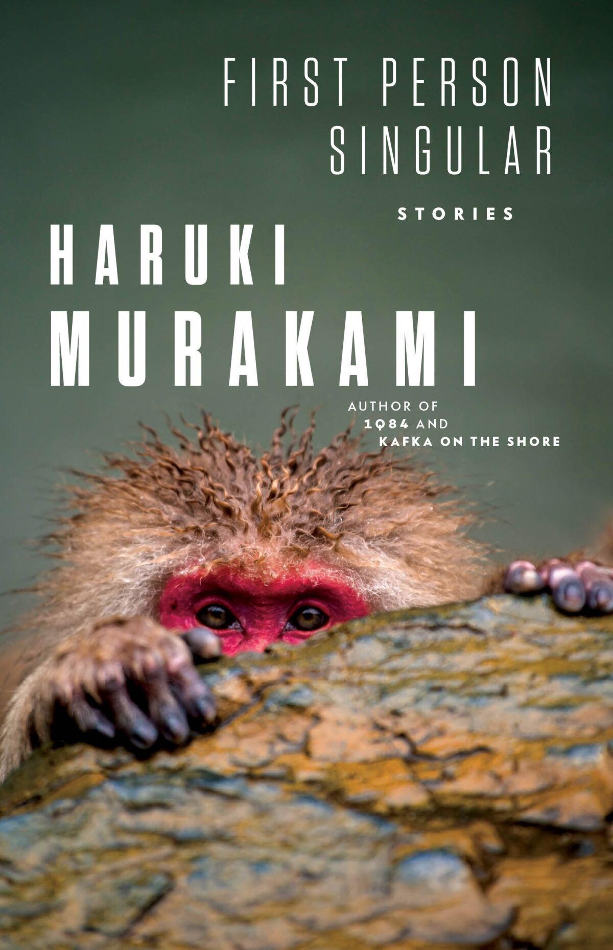 The cover of Haruki Murakami's "First Person Singular" features a monkey.
