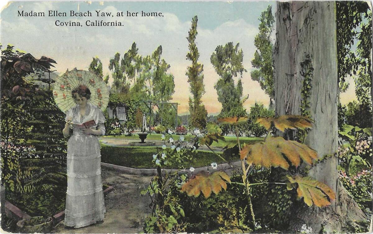 A vintage postcard shows Ellen Beach Yaw in a lush garden, holding a parasol and looking at an open book.