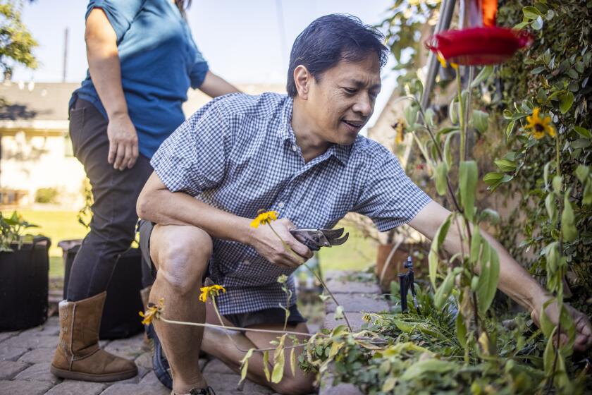 A man gardens at home.