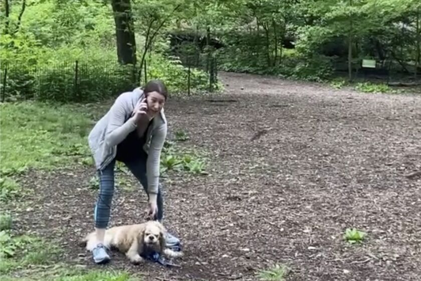 This image made from Monday, May 25, 2020, video provided by Christian Cooper shows Amy Cooper with her dog calling police at Central Park in New York. A video of a verbal dispute between Amy Cooper, walking her dog off a leash and Christian Cooper, a black man bird watching in Central Park, is sparking accusations of racism. (Christian Cooper via AP)