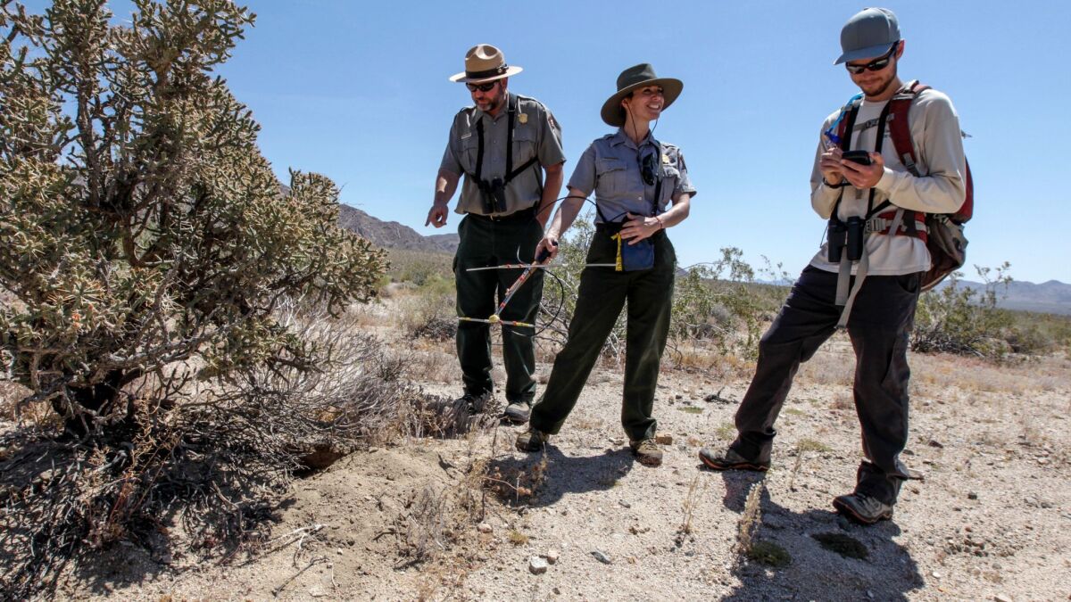 Wildlife ecologist Michael Vamstad, left, and biologists Kristen Lalumiere and Jeff Rangitsch stand by a desert tortoise burrow in Joshua Tree National Park.