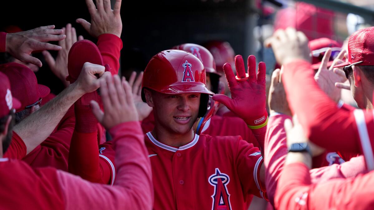 Long Island Native To Be Youngest Catcher On LA Angels Opening Day