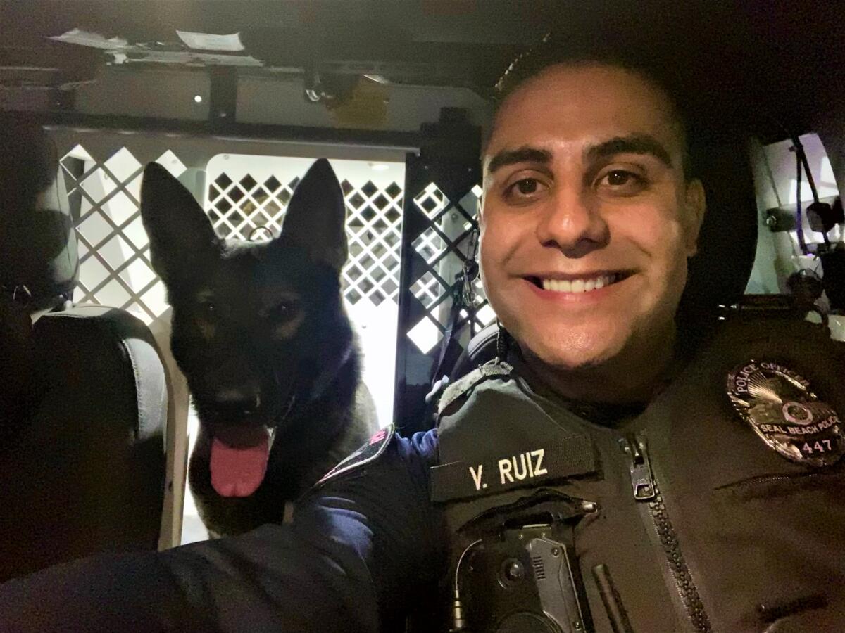 Seal Beach K-9 Officer Victor Ruiz poses for a selfie with police dog Saurus.