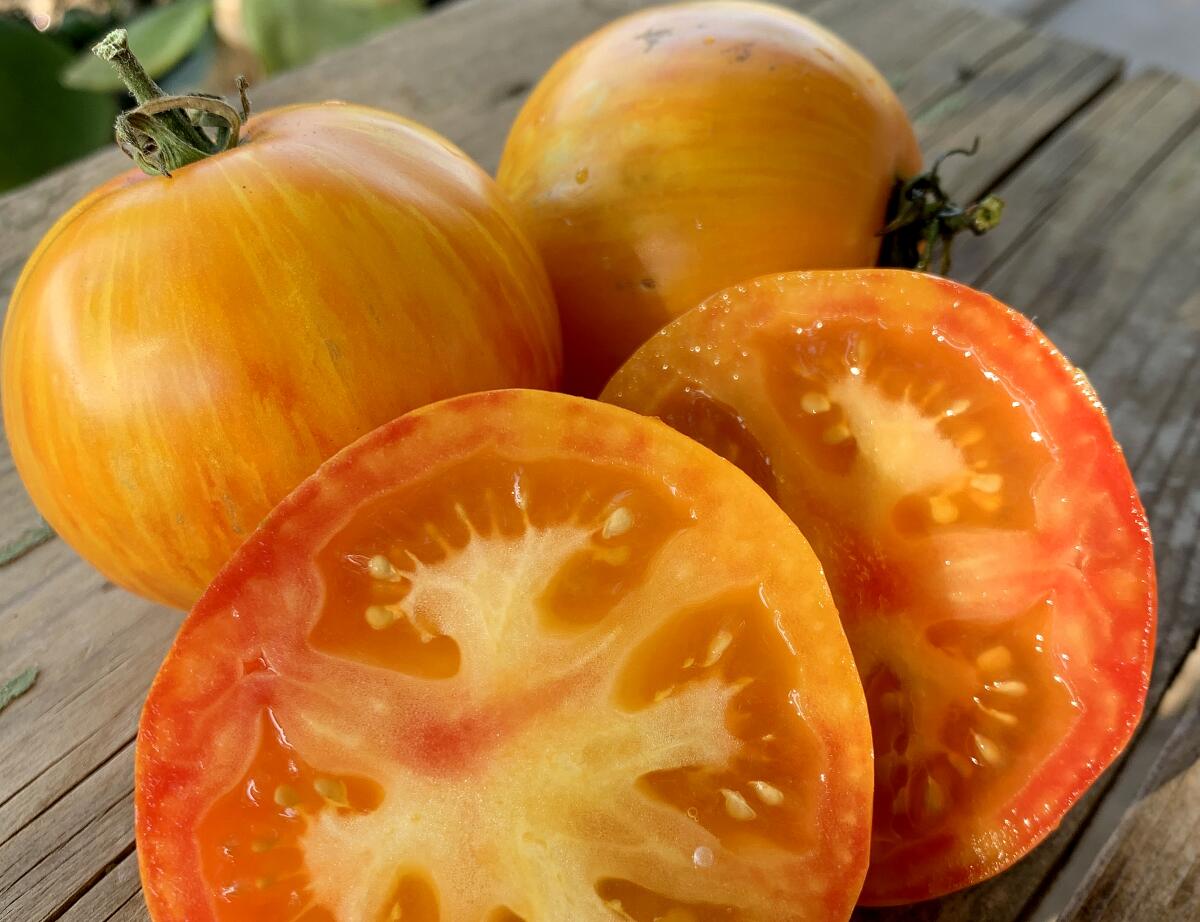 Two whole tomatoes and one sliced tomato on a table.