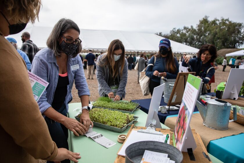 Mim Michelove, CEO and president of Healthy Day Partners, helps attendees plant seedlings in paper pots during San Diego Food System Alliance’s annual gathering and celebration of its Food Vision 2030 report at Coastal Root Farms in Encinitas on Friday, Oct. 22, 2021.