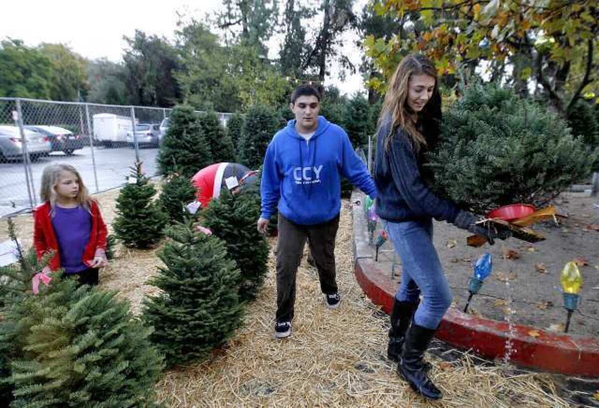 Crescenta Valley High junior and volunteer Anna Hall, 16, right, carries a small Christmas tree she sold to young Stella Kalaba, 7, of Glendale, left, at the Crescenta-Canada Family YMCA Christmas tree lot in La Canada.
