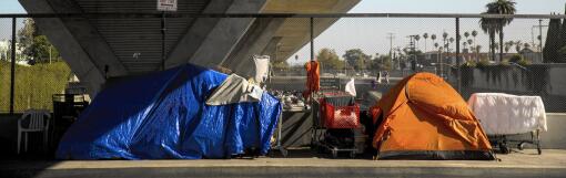 A homeless encampment underneath the 110 Freeway.