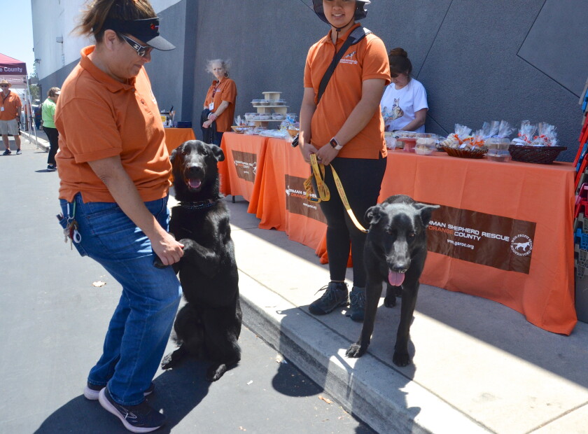 Volunteers Lisa Viger with Malachi, left and Helena Bui with Madeline during fundraising event for GSROC.
