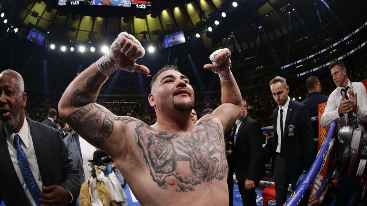 Andy Ruiz Jr. celebrates after stopping Anthony Joshua in the seventh round to become heavyweight champion.