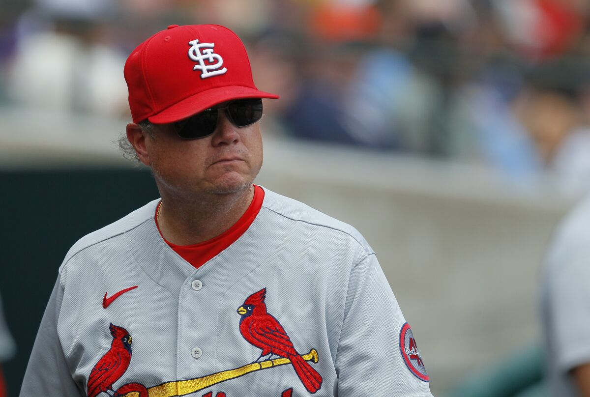 Ex-Cardinals manager Mike Shildt