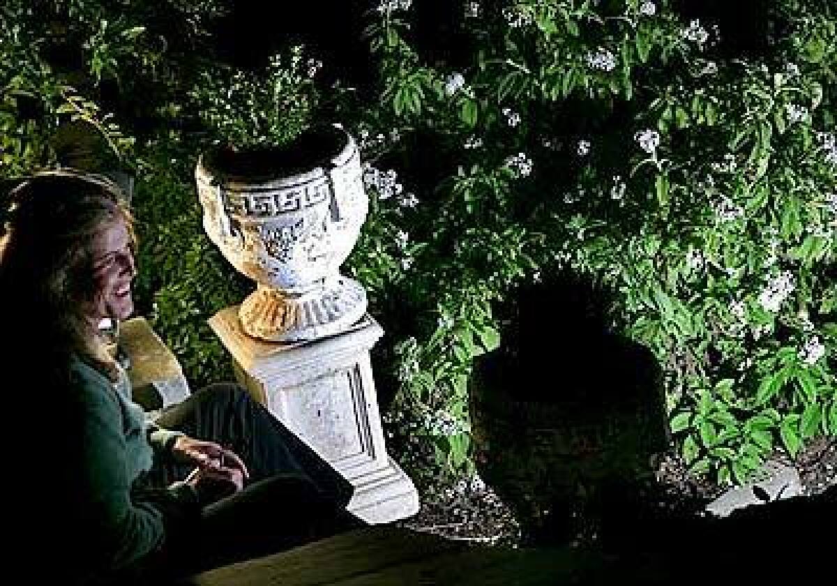 Joan Reeves created a formal entry to her garden with two white antique urns. She is seated next to a white heliotrope during a recent full moon.
