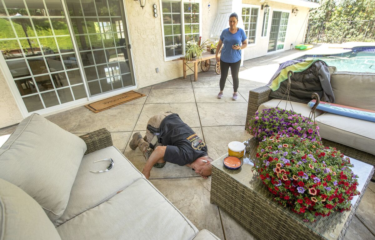 A busy year for the people who catch rattlesnakes - Los Angeles Times