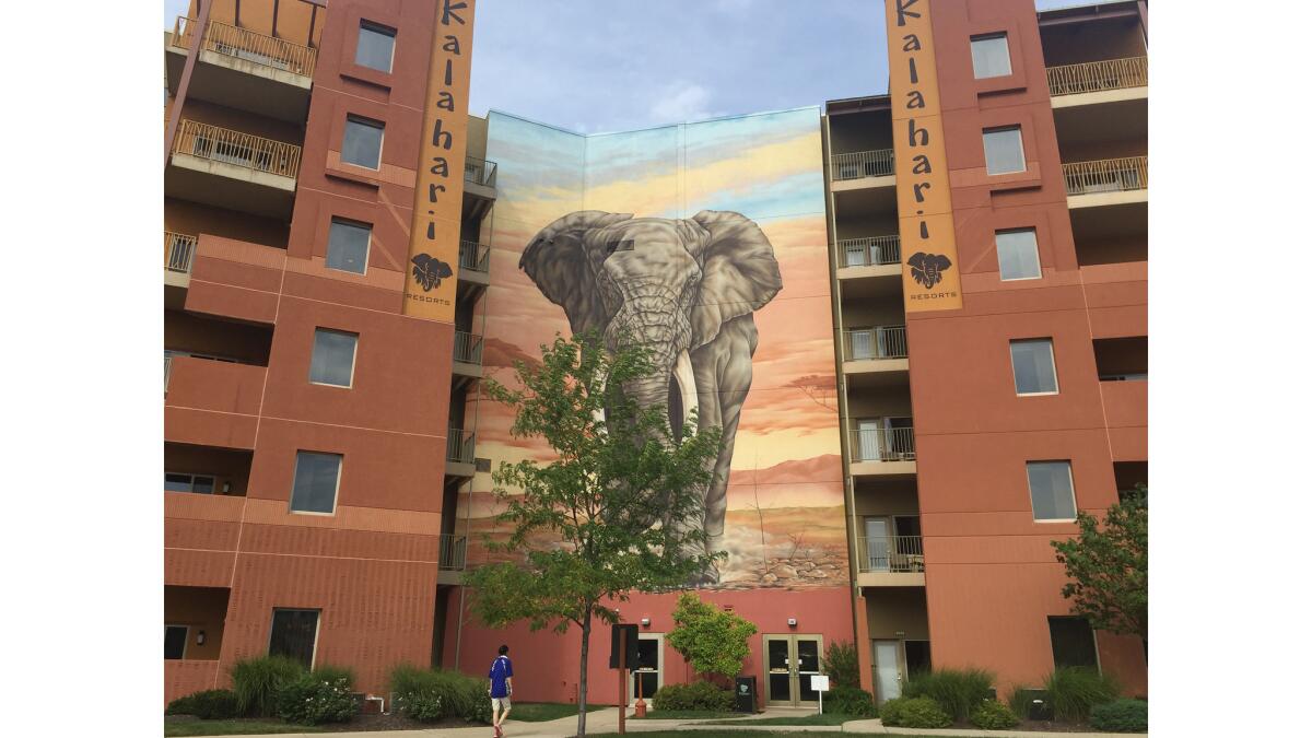 The California delegation was relegated nearly 60 miles from downtown Cleveland. Their hotel, located in Sandusky, Ohio, is an African-themed resort.