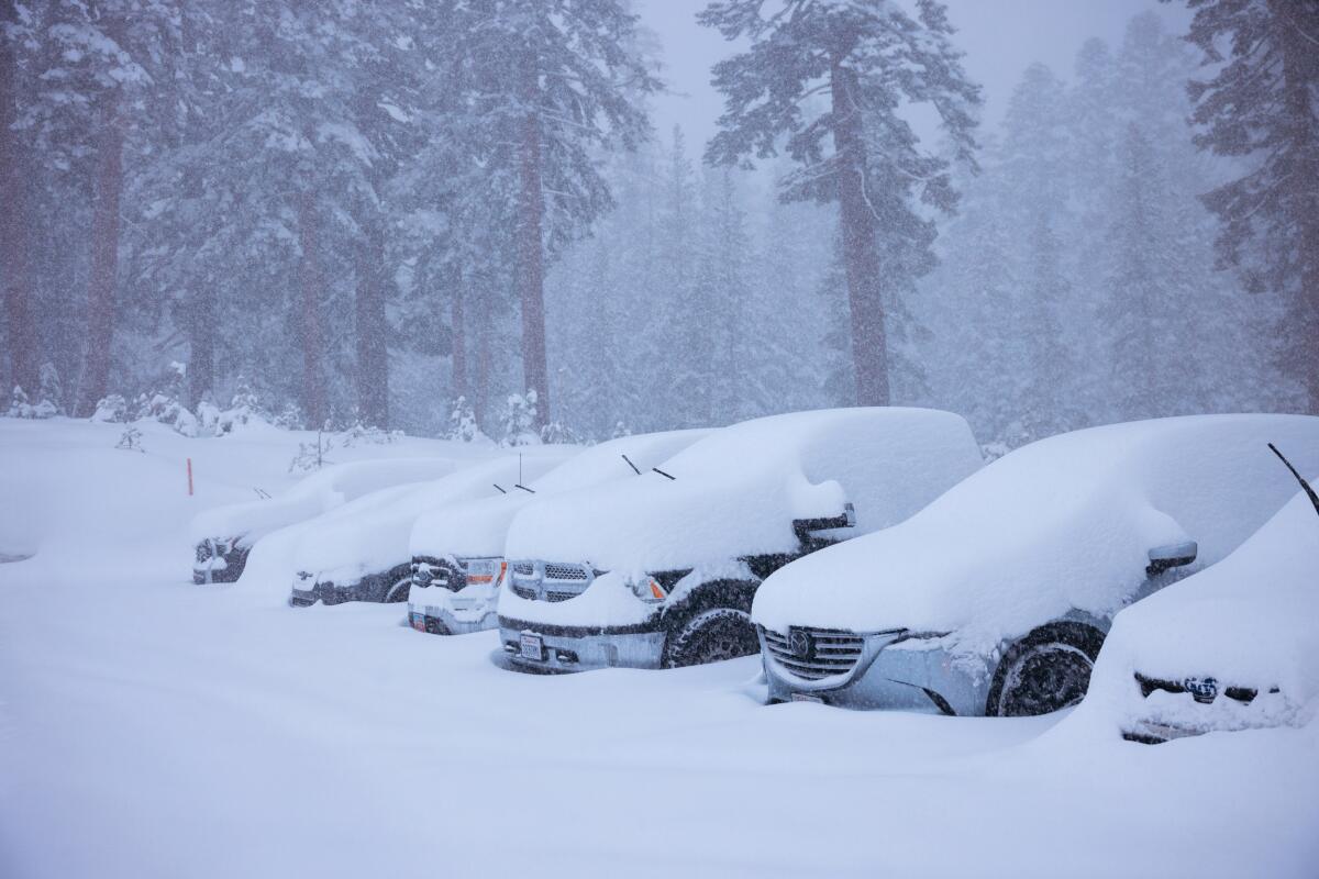 Snow covers a line of parked cars and trucks in Mammoth Mountain.
