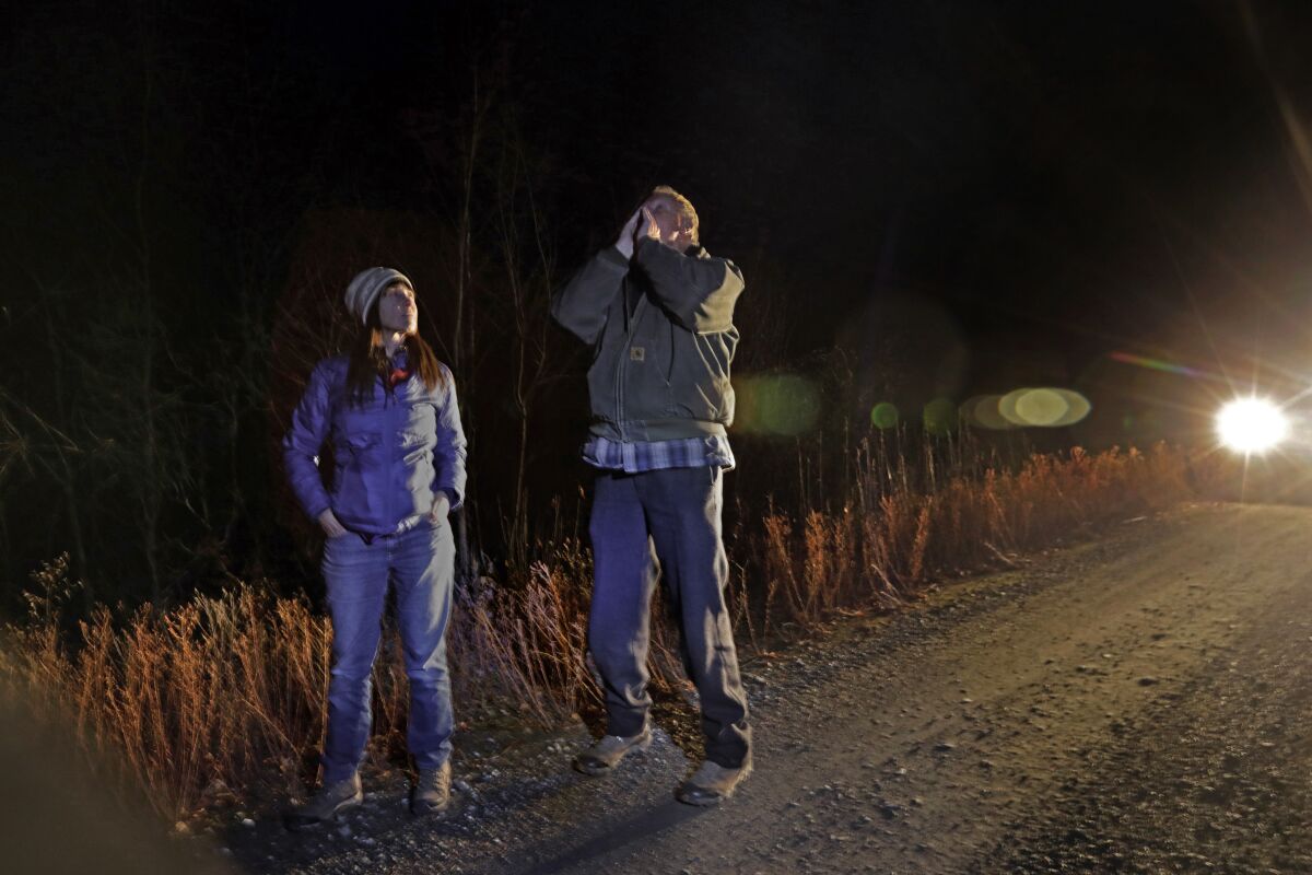 Wolf expert Carter Niemeyer, right, with biologist and lawyer Amaroq Weiss, tries to call wolves in the Colville National Forest in Washington state.