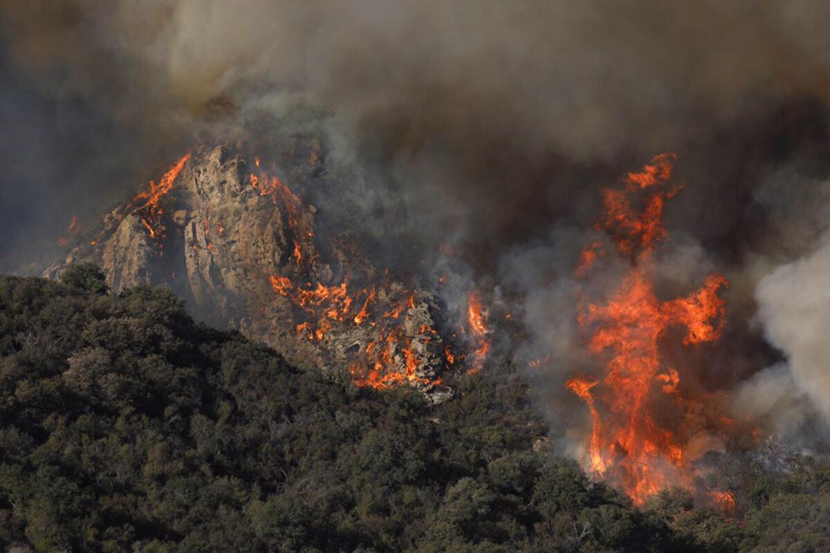 The Woolsey fire burns in Malibu Creek State Park.