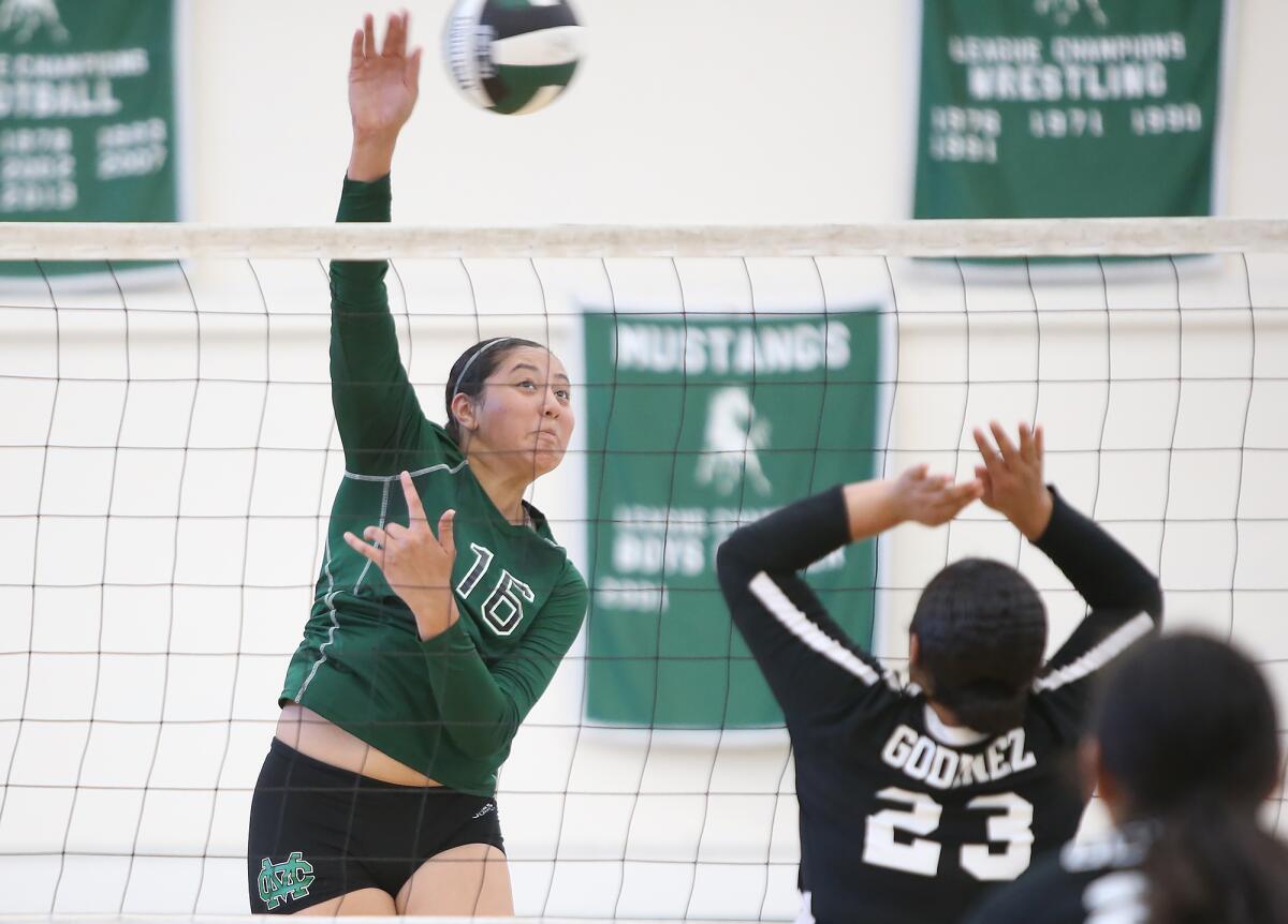Costa Mesa's Malia Tufuga (16) hammers a kill in the corner during a nonleague home match against Godinez on Tuesday.